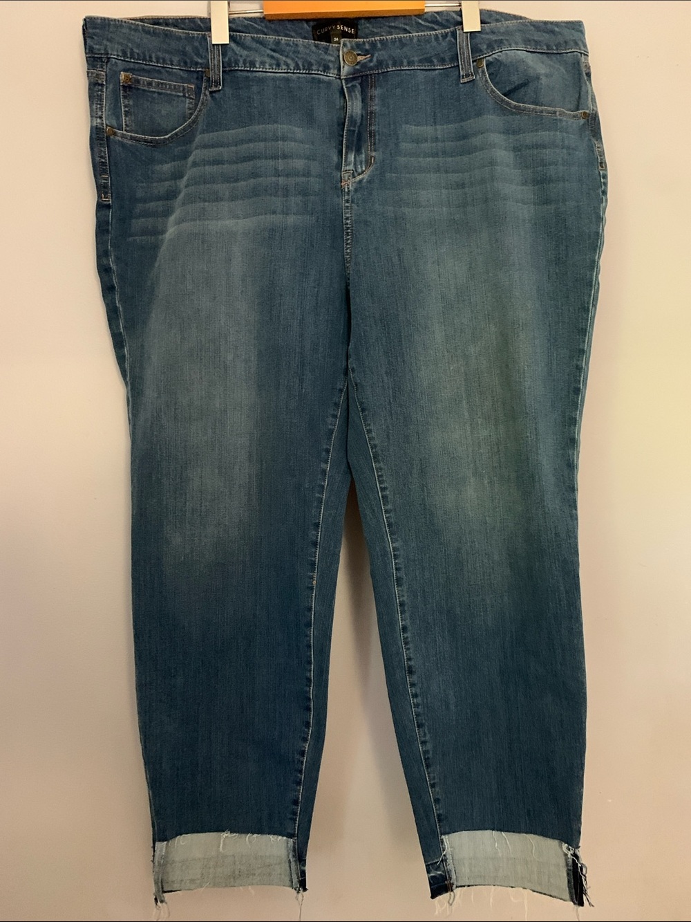 Curvy Sense Celebrity Pink Blue Jeans Plus Size 24